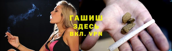крисы Алзамай