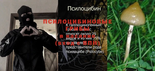 гашиш Арсеньев