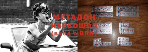 стаф Алексин