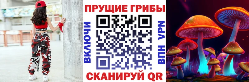 цены наркотик  Белая Калитва  Галлюциногенные грибы Psilocybine cubensis 
